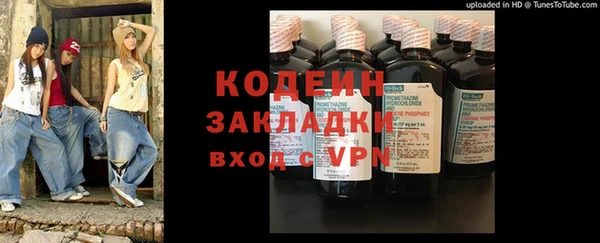 шишки Абаза