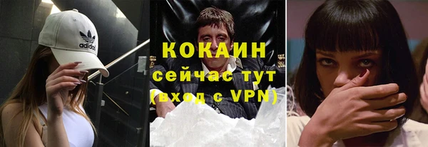 шишки Абаза