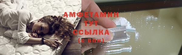 шишки Абаза