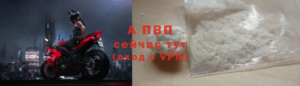 шишки Абаза