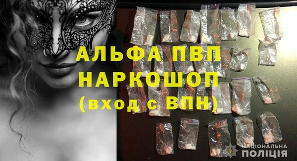 шишки Абаза