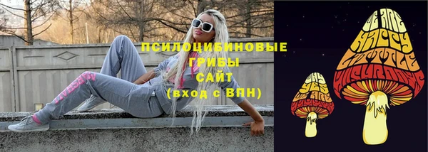ECSTASY Абинск