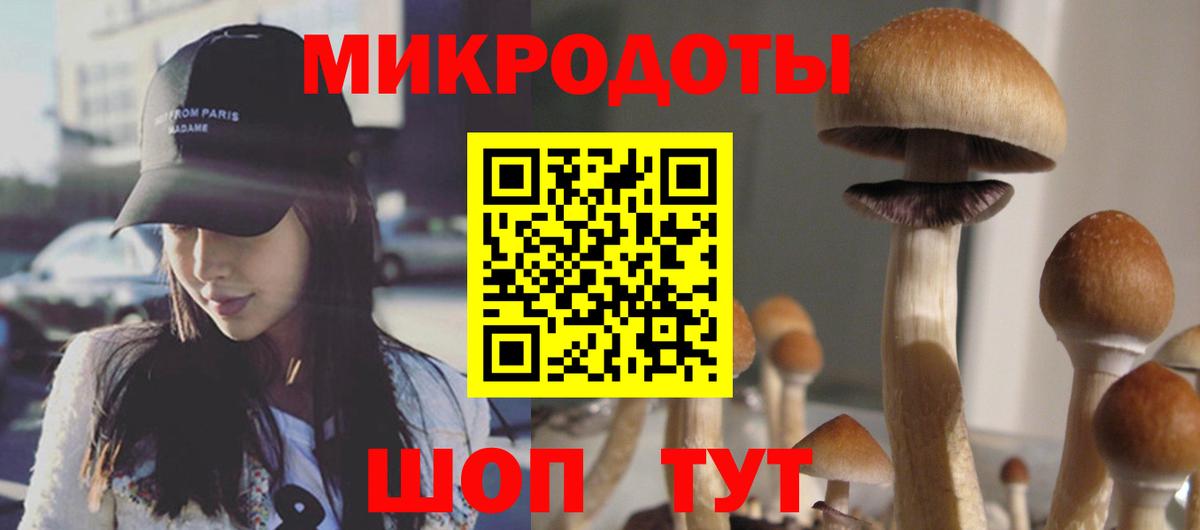 Камень-на-Оби  Псилоцибиновые грибы Psilocybe  где можно купить наркотик  Галлюциногенные грибы мухоморы  Вход с VPN 